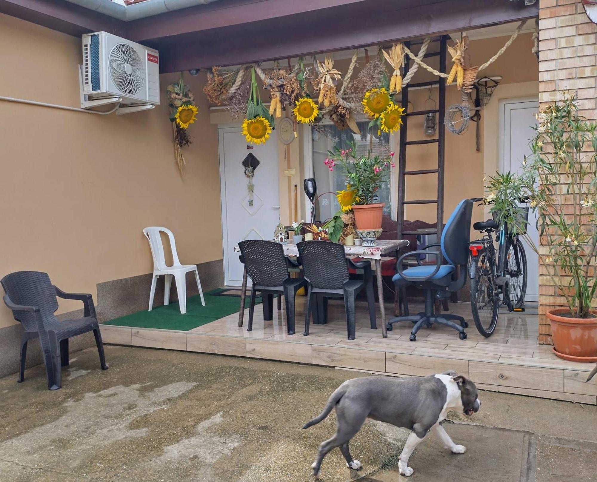 Bundik Vendégház Berettyóújfalu Exterior foto